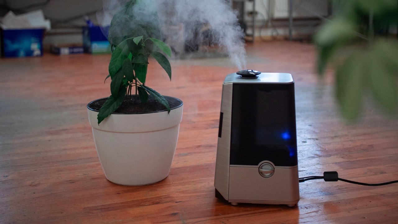 Air Purifier in Delhi Homes