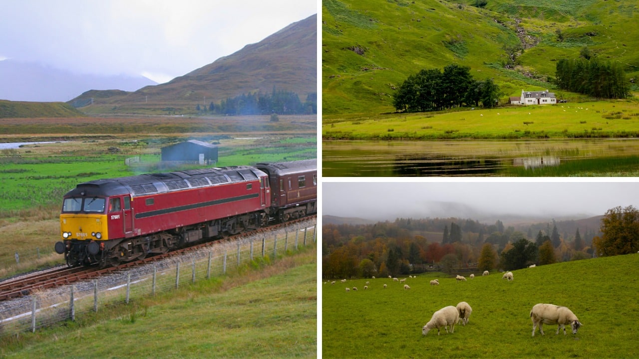 Most Scenic Train Journeys in the World - Royal Scotsman