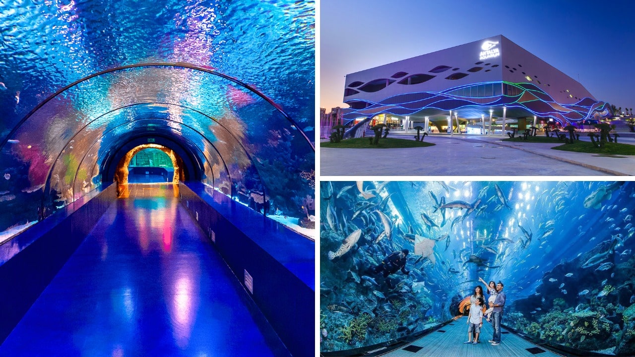 9 Best Places To Visit In Antalya - Aquarium