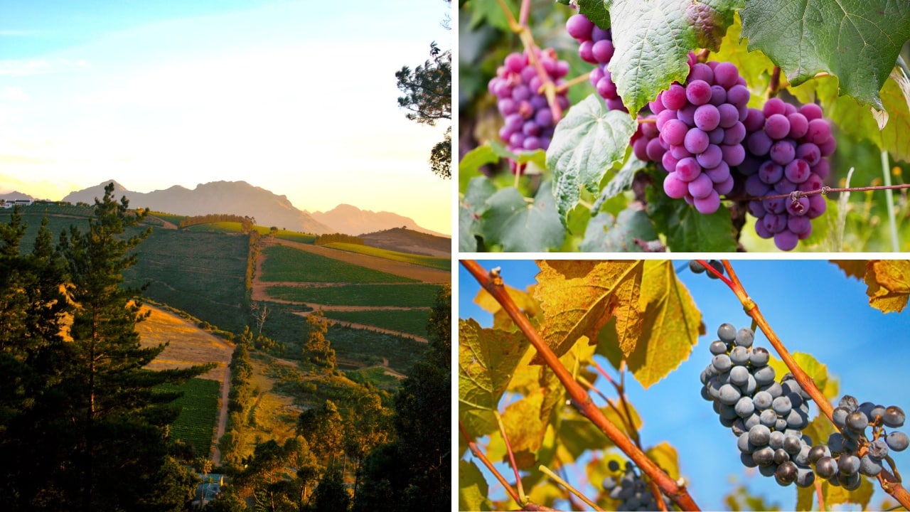 6 Best Places To Visit in South Africa - Stellenbosch