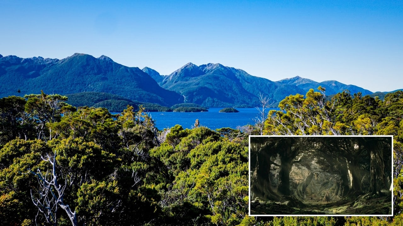 Fangorn Forest? Go To Fiordland National Park, NZ...